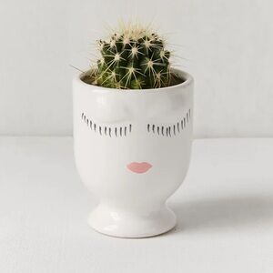 White Celfie Planter